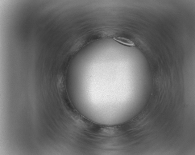 X0000063500079200602032028