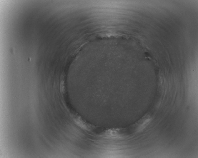 X0000063500080200602032028