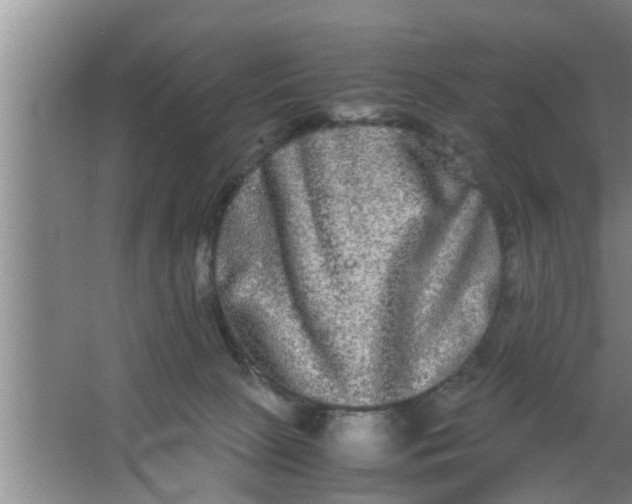 X0000063500081200602032028