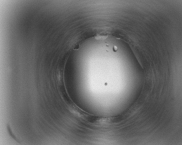 X0000063500084200602032028