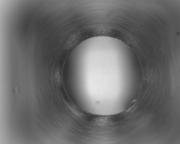 X0000063500086200602032028