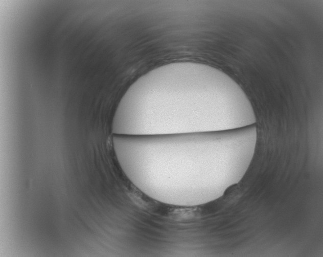 X0000063500089200602032028