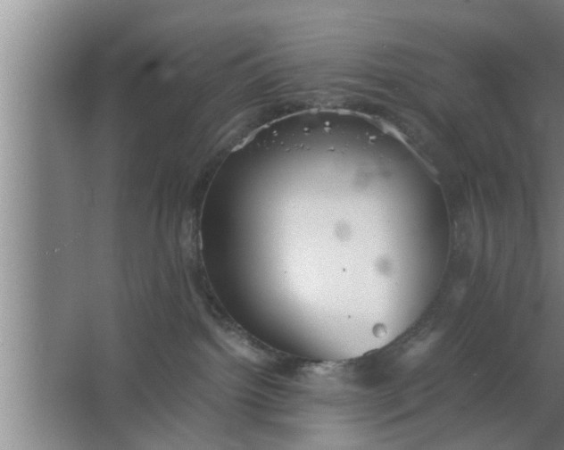 X0000063500092200602032029