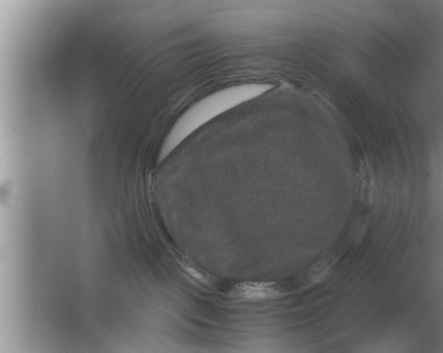 X0000063500093200602032029