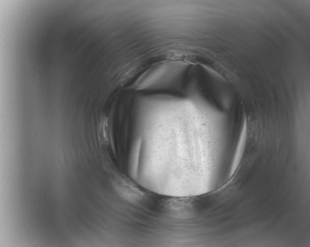 X0000063500094200602032029