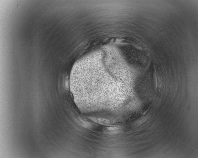 X0000063500095200602032029