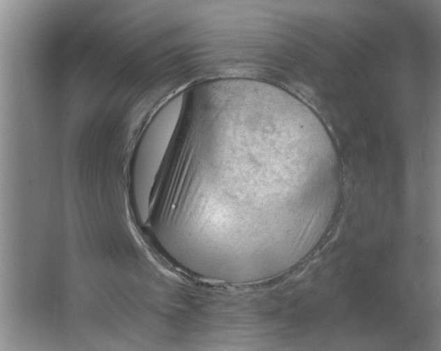 X0000063500097200602032028