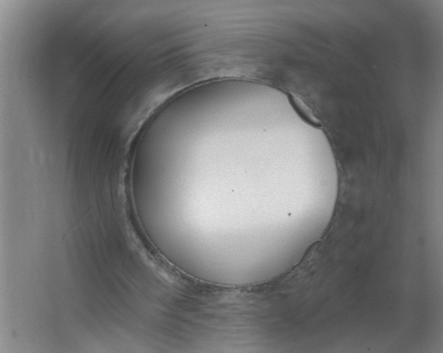 X0000063500098200602032028