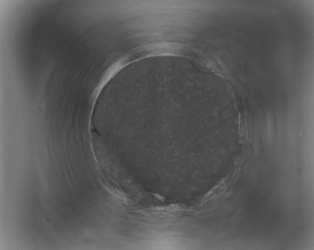 X0000063500099200602032028