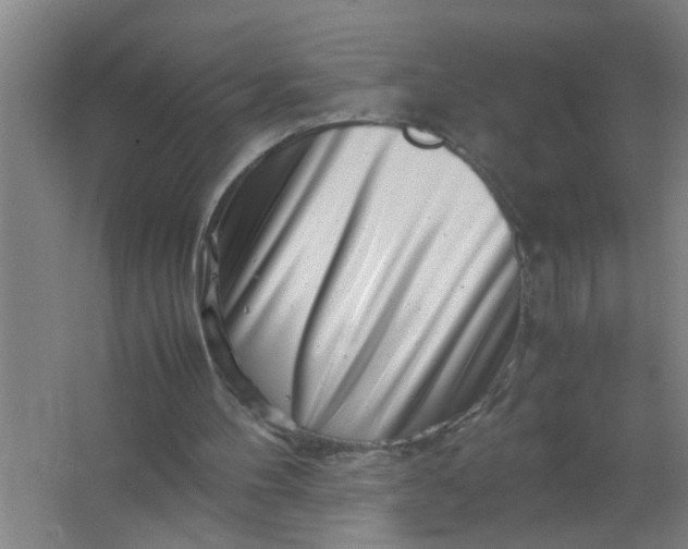 X0000063500100200602032028