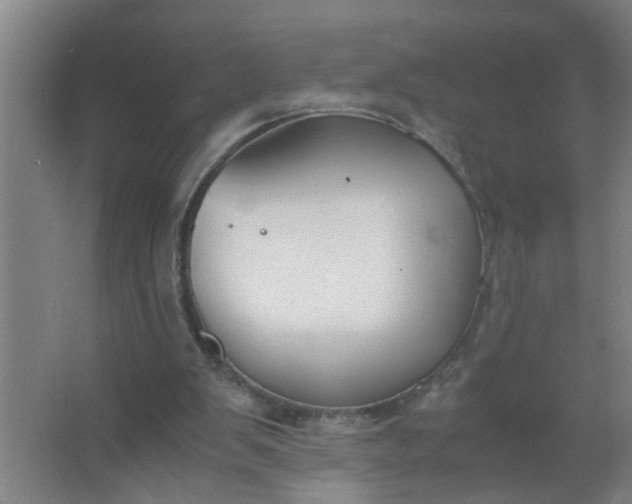 X0000063500103200602032028