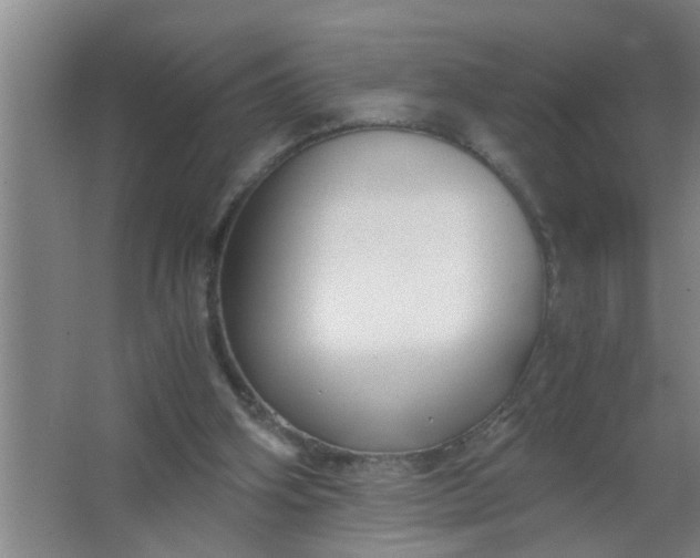 X0000063500106200602032028