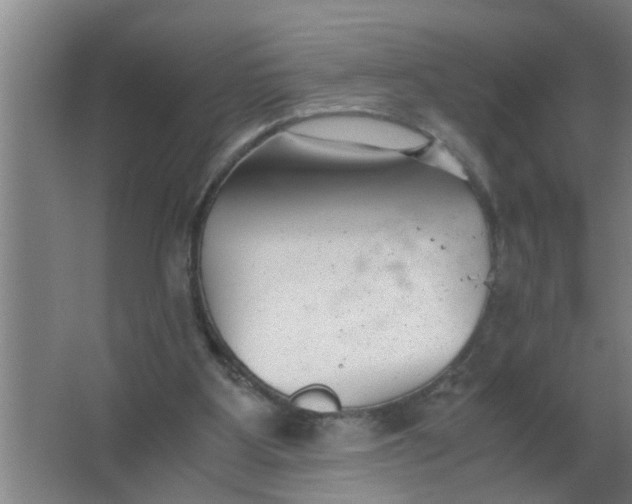 X0000063500107200602032028