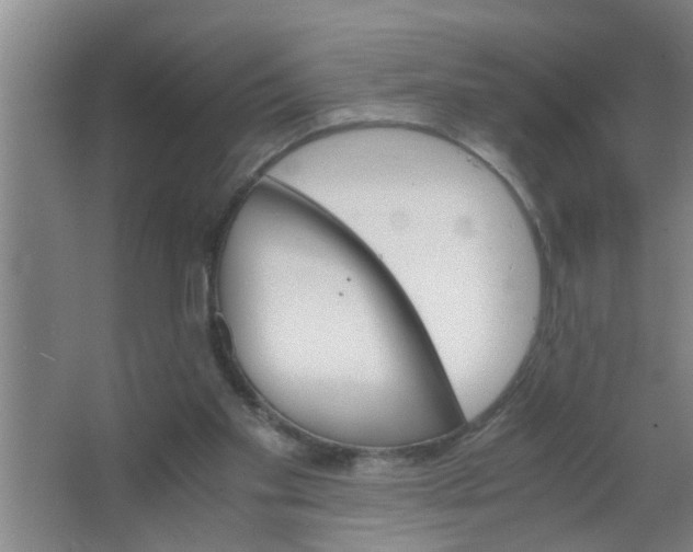 X0000063500109200602032028