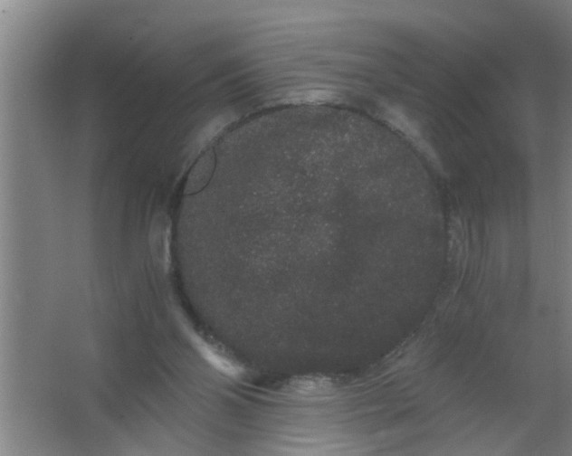 X0000063500110200602032028