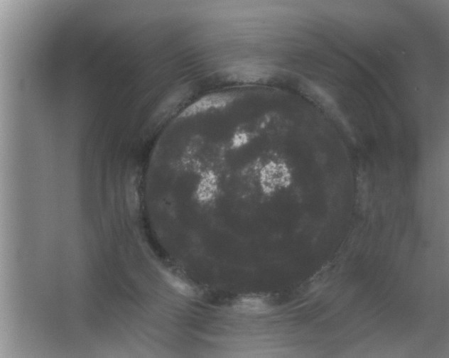 X0000063500114200602032028