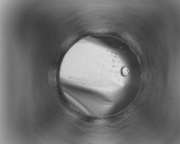 X0000063500115200602032027