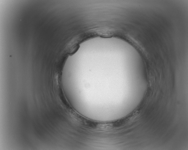 X0000063500117200602032027