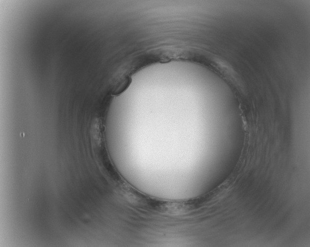 X0000063500121200602032027