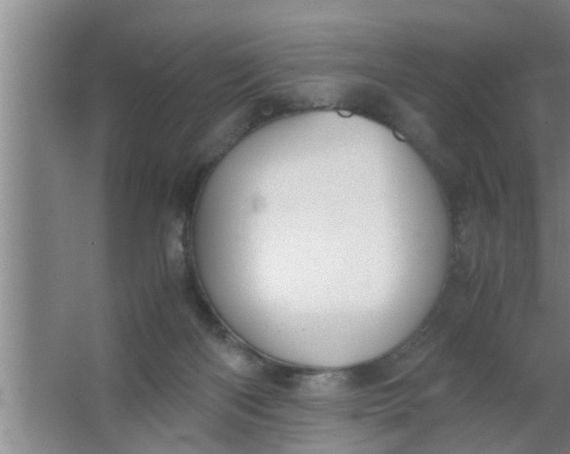 X0000063500122200602032027