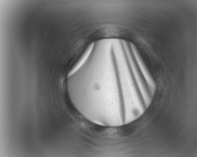 X0000063500123200602032027