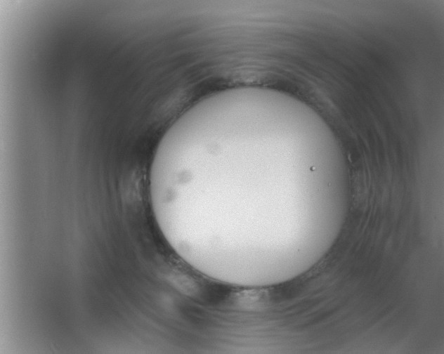 X0000063500126200602032027