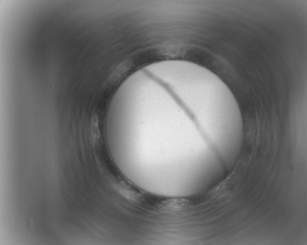 X0000063500128200602032027