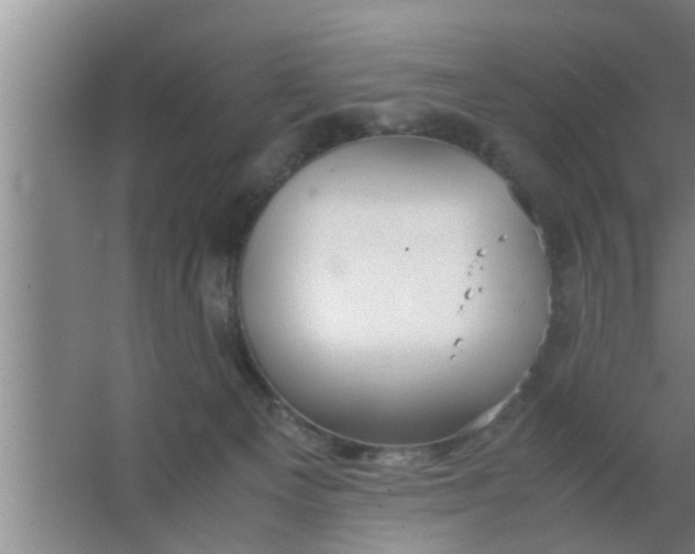 X0000063500129200602032027