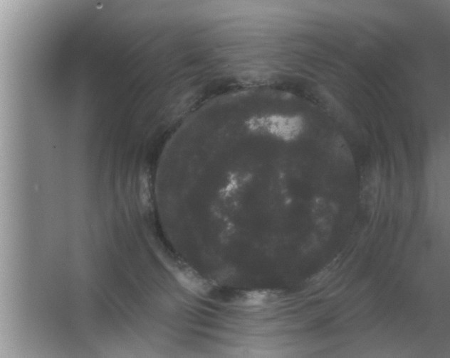 X0000063500130200602032027