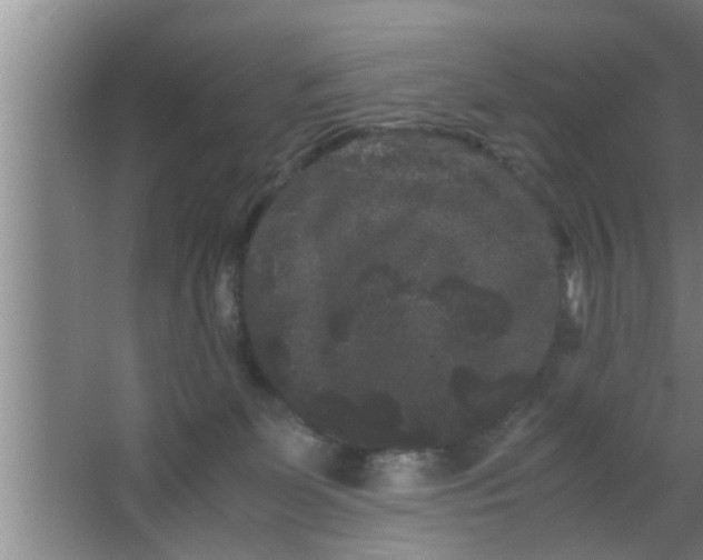 X0000063500131200602032027