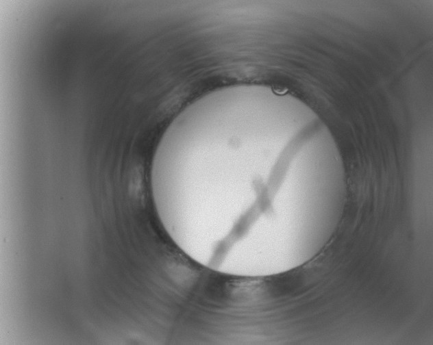 X0000063500132200602032027