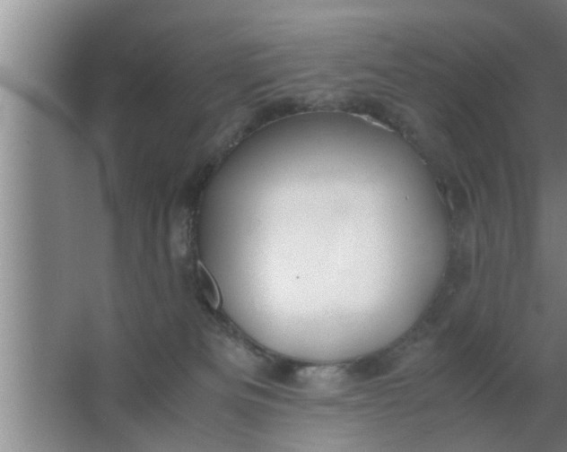 X0000063500133200602032027