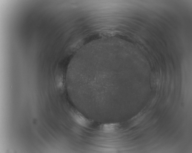 X0000063500134200602032027