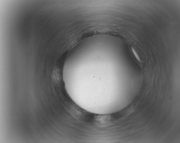 X0000063500135200602032027