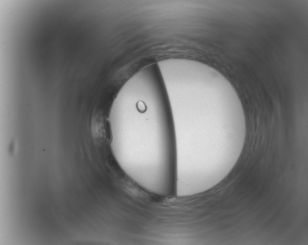 X0000063500137200602032027