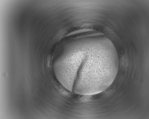 X0000063500138200602032027