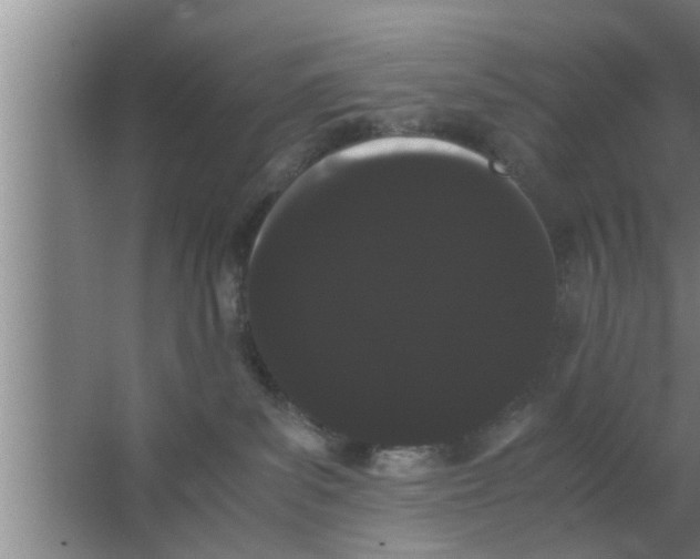 X0000063500139200602032027