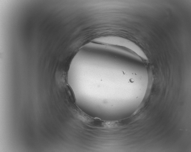 X0000063500141200602032027