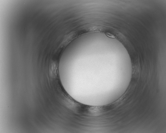 X0000063500142200602032027