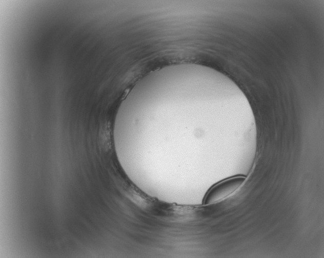 X0000063500144200602032027