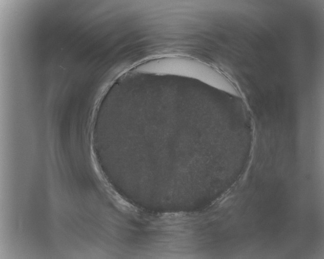 X0000063500145200602032026