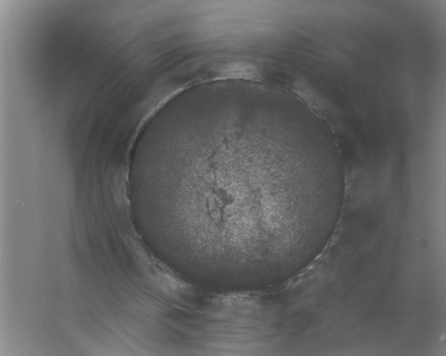 X0000063500146200602032026