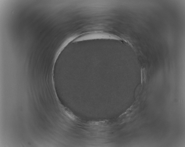 X0000063500147200602032026