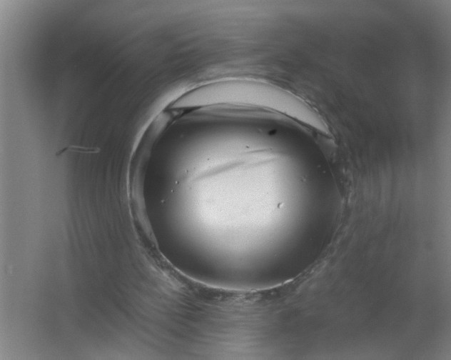 X0000063500148200602032026