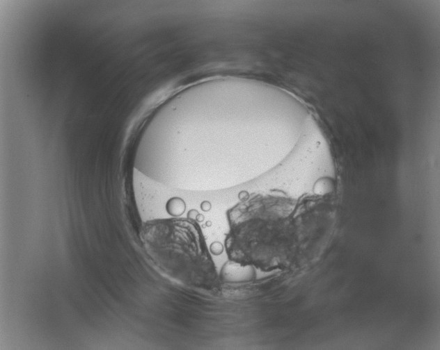 X0000063500149200602032026