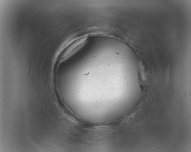 X0000063500150200602032026