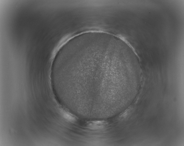 X0000063500151200602032026