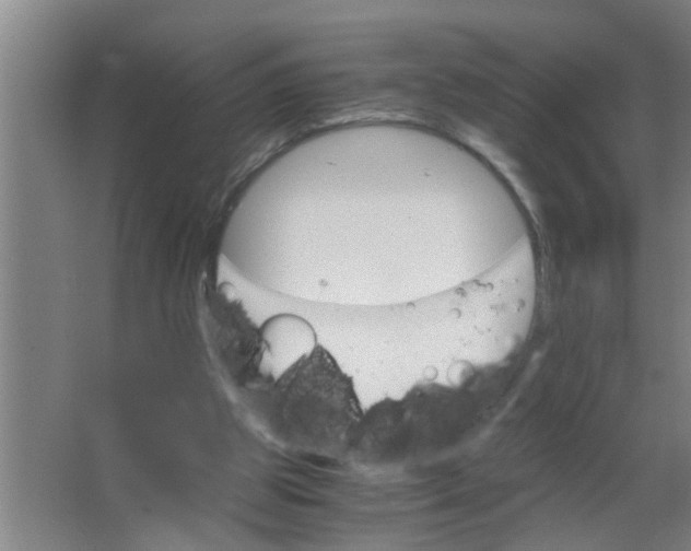 X0000063500153200602032026