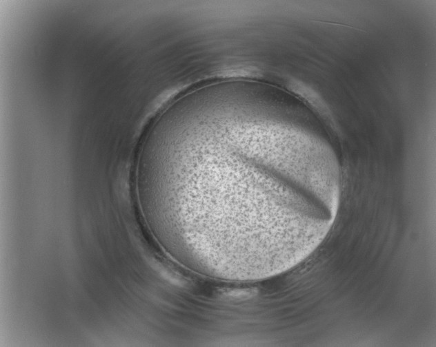 X0000063500155200602032026