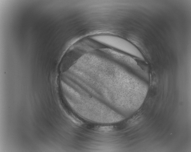 X0000063500156200602032026